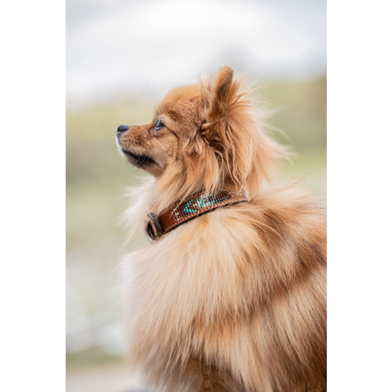Collier pour chien Pearl Pénélope