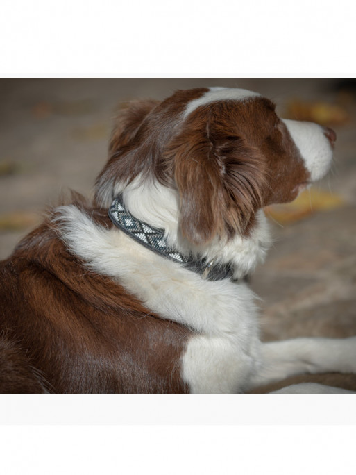 Collier pour chien Pearl Pénélope