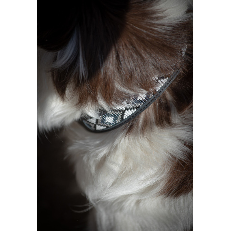 Collier pour chien Pearl Pénélope