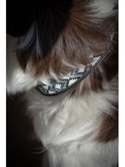 Collier pour chien Pearl Pénélope