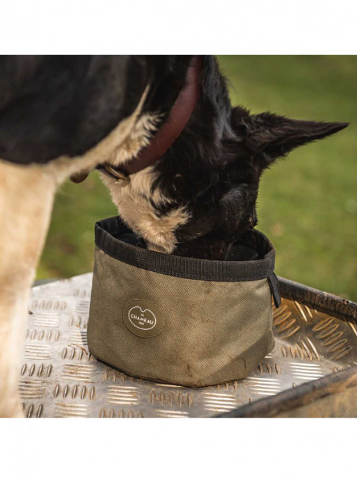 Porte friandises chien Le Chameau