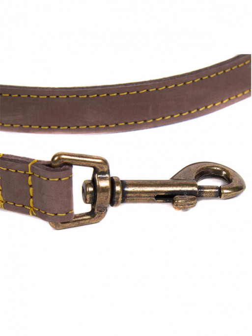 Laisse pour chien en cuir Barbour