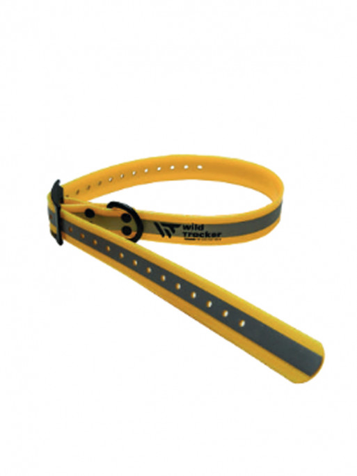 Collier réfléchissant X-Pert 2.5 x 0.25 x 79cm Wild Tracker