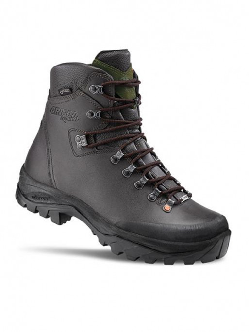 Chaussures Wild Evo GTX Crispi