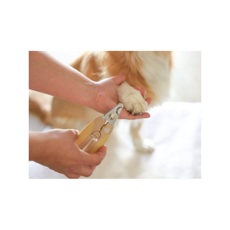 Ciseaux de toilettage chien/chat MagicBrush