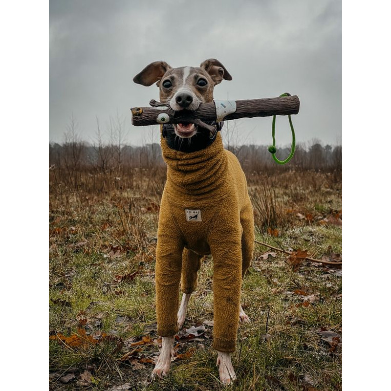 Jouet pour chien The Stick Family DOOG