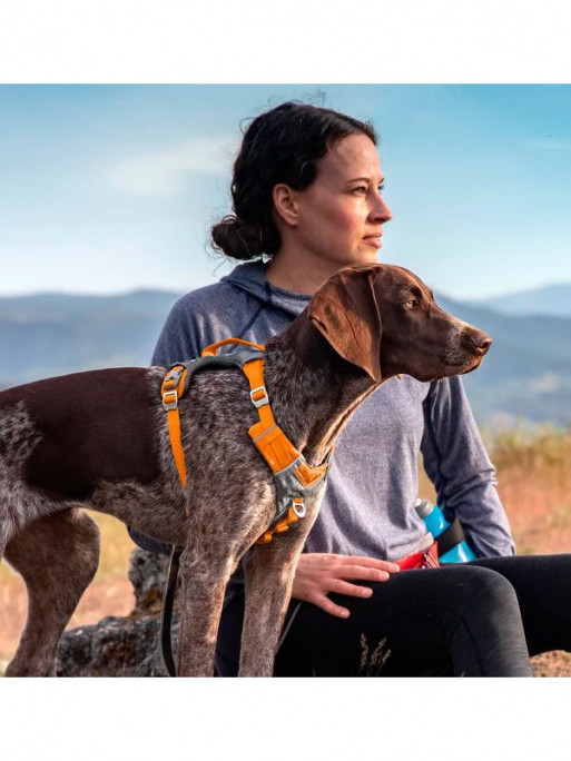 Harnais Journey Air Kurgo Harnais Journey Air Kurgo