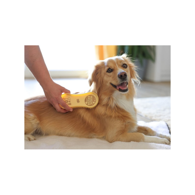 Brosse chien MagicBrush