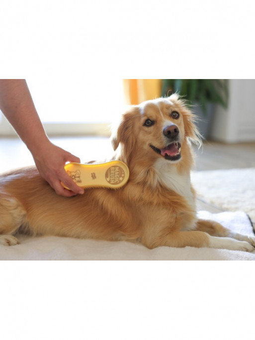 Brosse chien MagicBrush Brosse chien MagicBrush