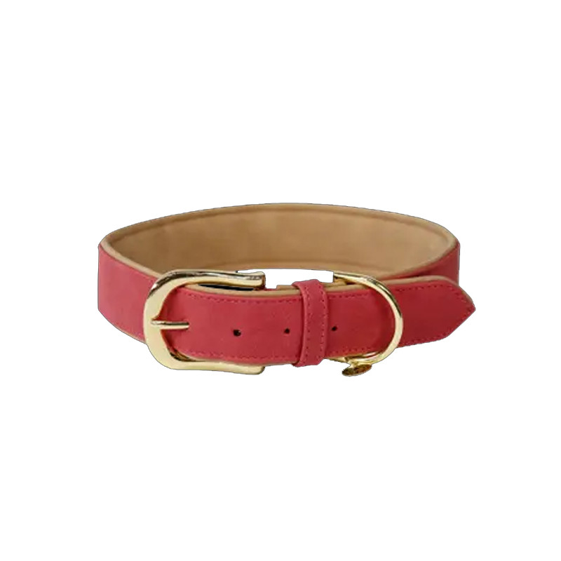 Collier pour Chien Vegan leather Kentucky