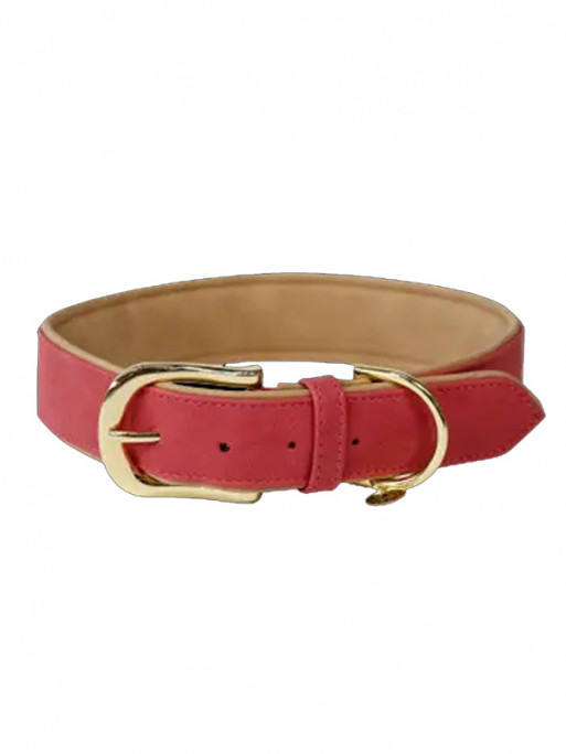 Collier pour Chien Vegan leather Kentucky Collier pour Chien Vegan leather Kentucky