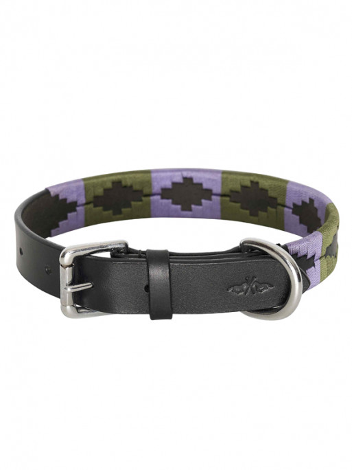 Collier pour chien Polo HFI Collier pour chien Polo HFI