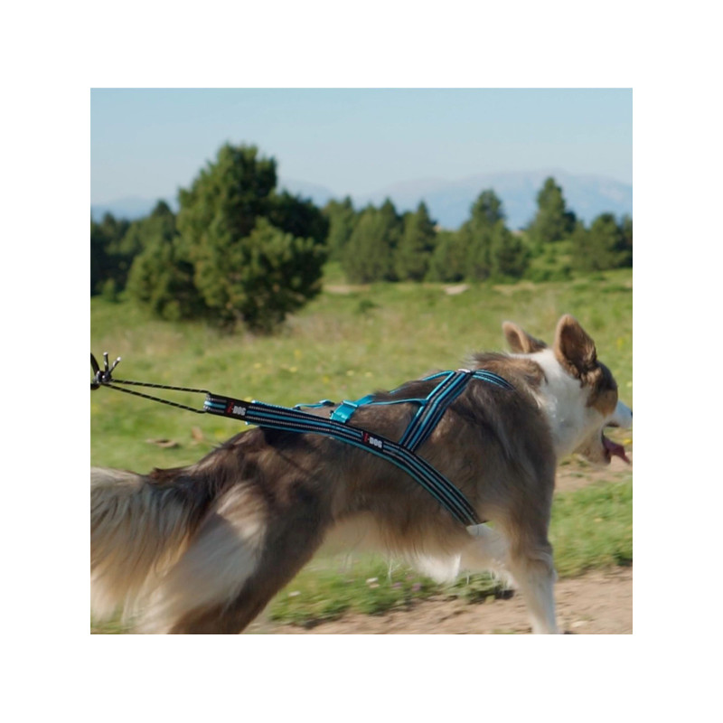 Harnais Canicross X-Back One I-Dog Orange