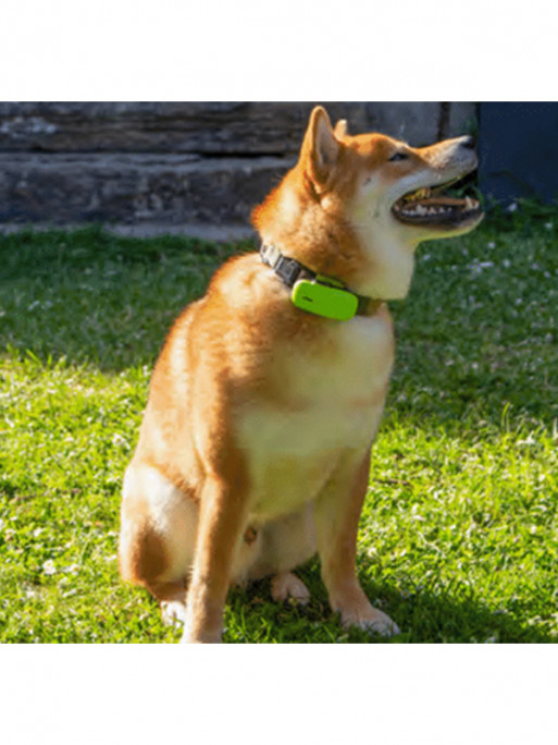 Système de localisation GPS chien Kippy Système de localisation GPS chien Kippy