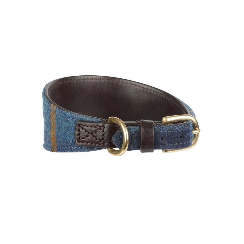 Collier pour chien Digby & Fox
