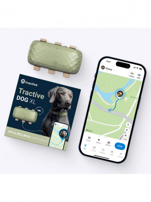Traceur GPS connecté Dog XL Tractive Traceur GPS connecté Dog XL Tractive