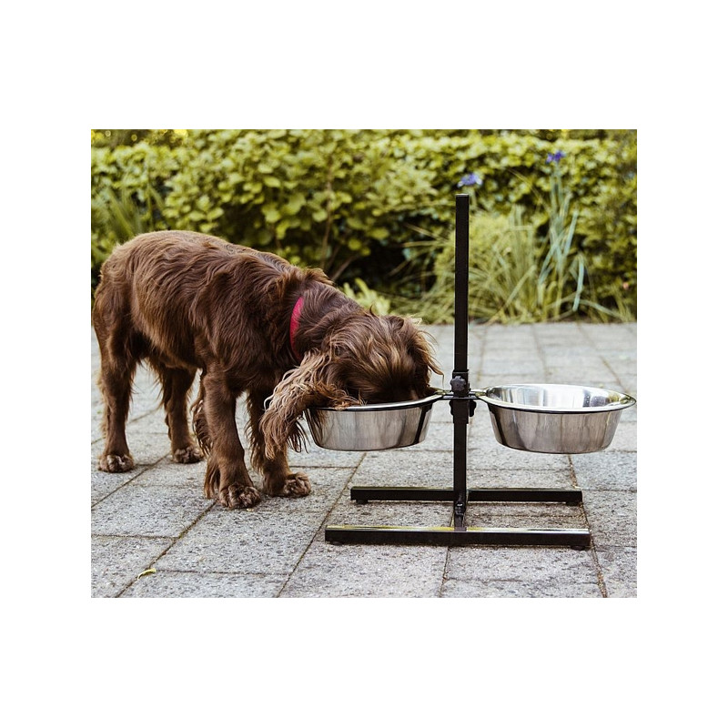 Gamelle surélevée pour chien