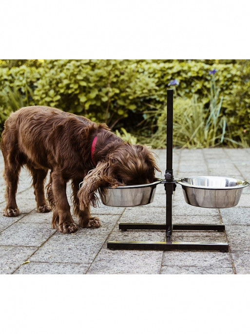 Gamelle surélevée pour chien Gamelle surélevée pour chien