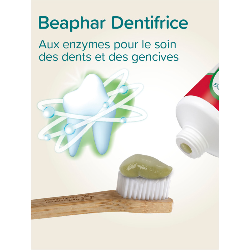 Dentifrice menthe & persil chien et chat 100g Beaphar