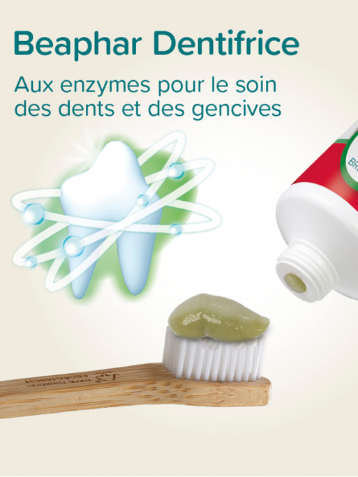 Dentifrice menthe & persil chien et chat 100g Beaphar Dentifrice menthe & persil chien et chat 100g Beaphar