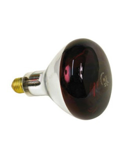Ampoule 250 watts pour lampe infrarouge copele