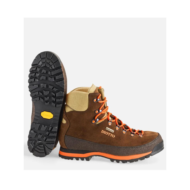 Chaussures Alpi Diotto