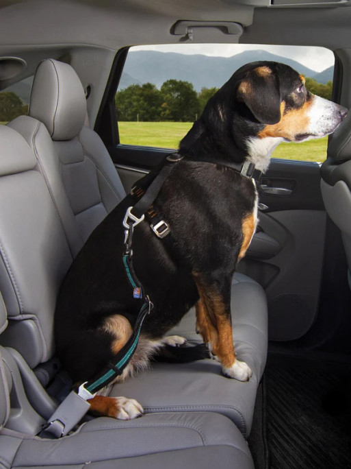 Attache de Sécurité DTS swivel pour chien Attache de Sécurité DTS swivel pour chien