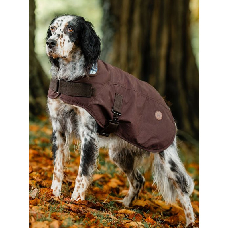 Manteau pour chien Newmarket Heritage Horseware