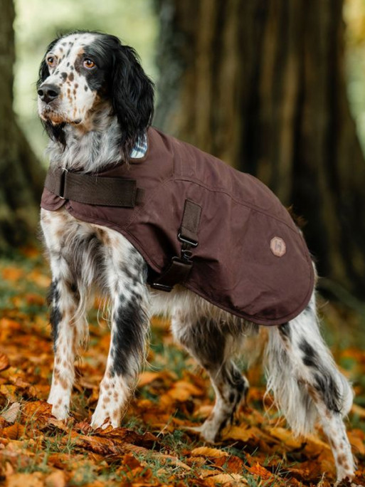 Manteau pour chien Newmarket Heritage Horseware