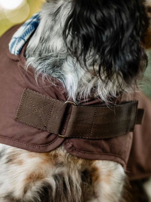 Manteau pour chien Newmarket Heritage Horseware