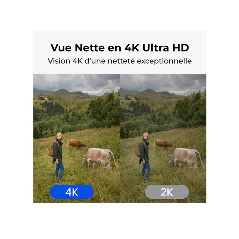 Caméra sans fil Go G450 4G Reolink