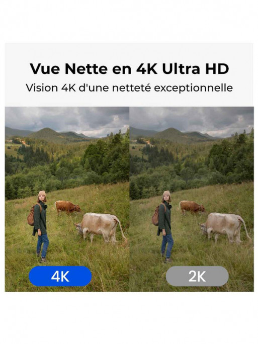 Caméra sans fil Go G450 4G Reolink