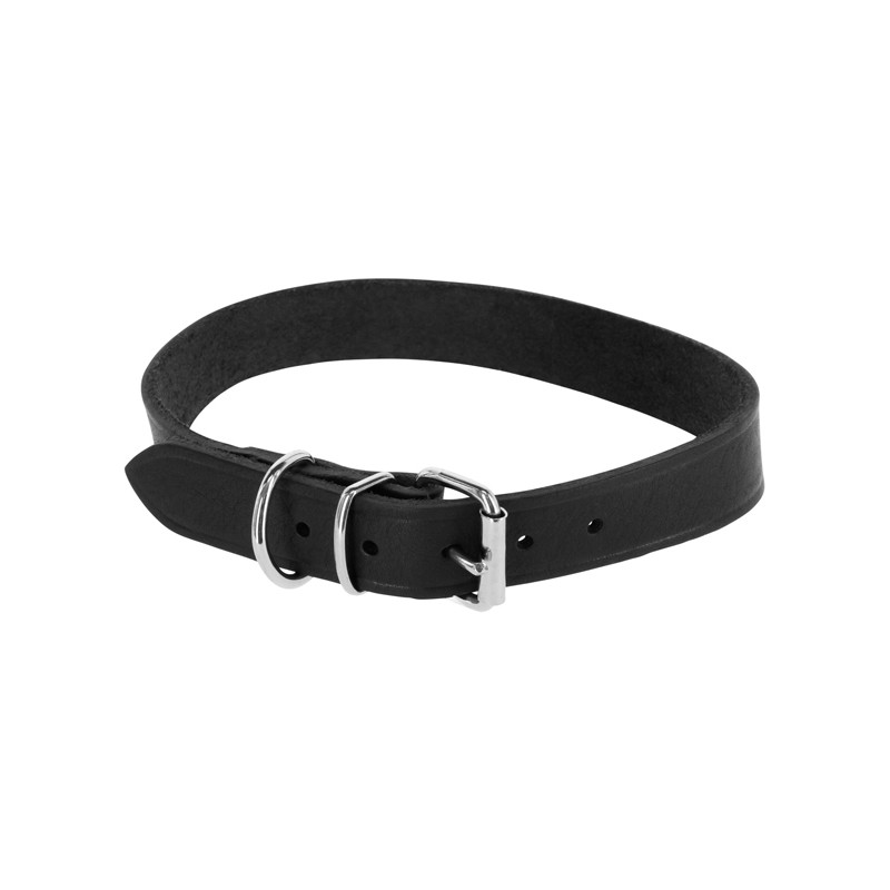 Collier pour chien Toscane Kerbl