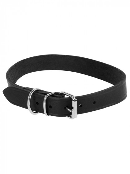 Collier pour chien Toscane Kerbl