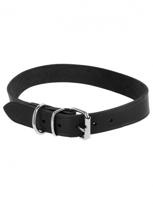 Collier pour chien Toscane Kerbl