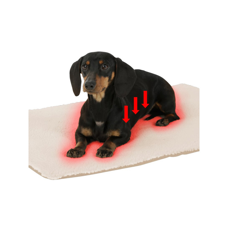 Coussin chauffant Theo Kerbl