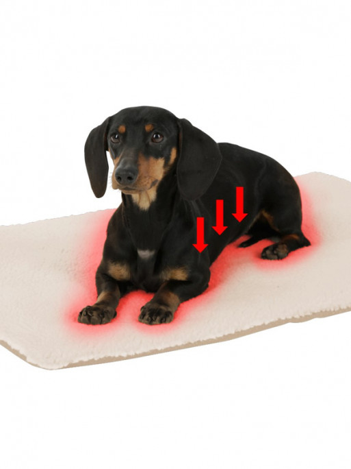 Coussin chauffant Theo Kerbl