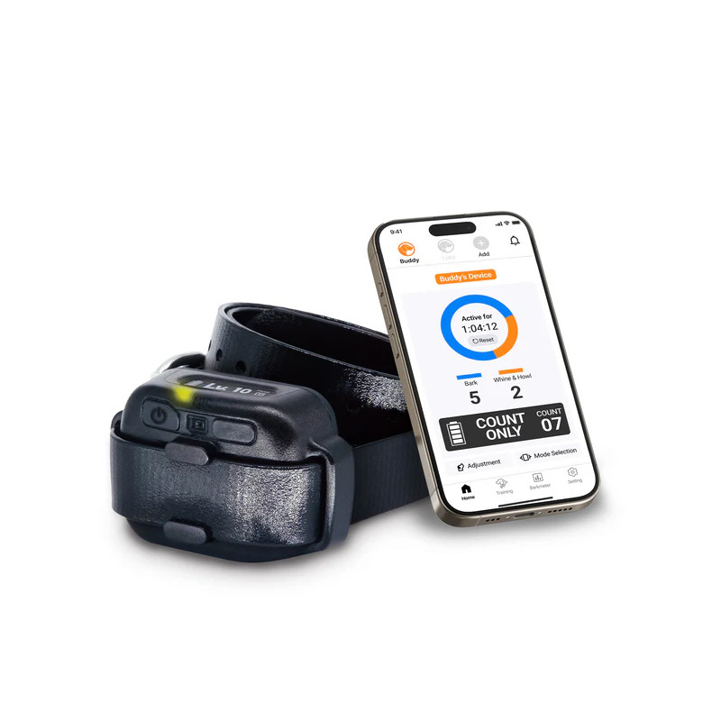 Collier anti-aboiement Smart Nobark Dogtra