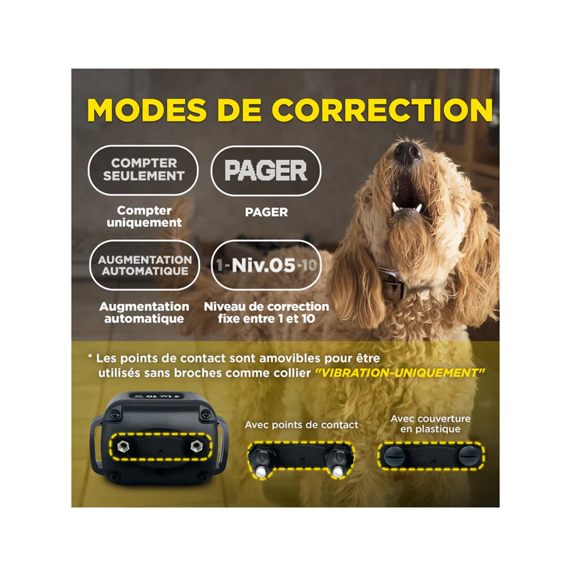 Collier anti-aboiement Smart Nobark Dogtra