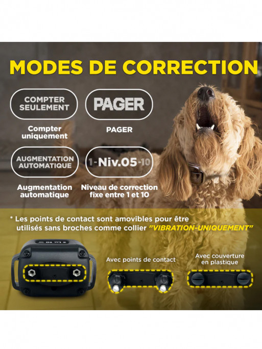 Collier anti-aboiement Smart Nobark Dogtra