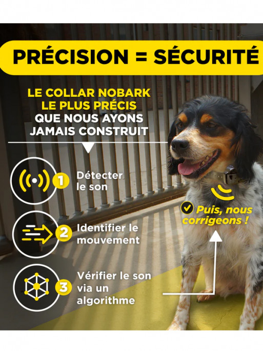 Collier anti-aboiement Smart Nobark Dogtra