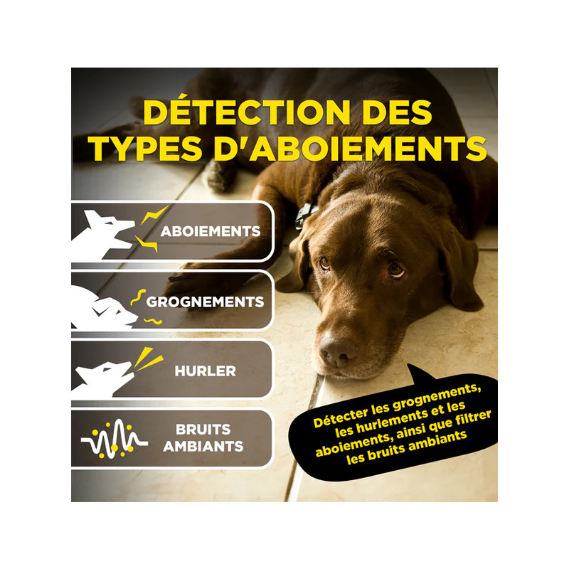 Collier anti-aboiement Smart Nobark Dogtra