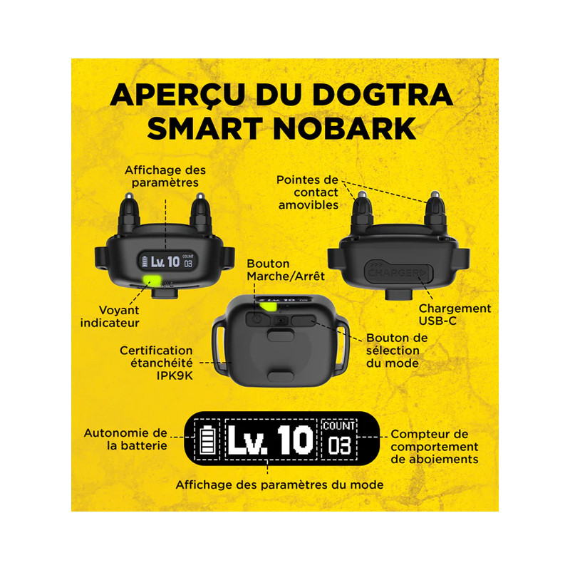 Collier anti-aboiement Smart Nobark Dogtra