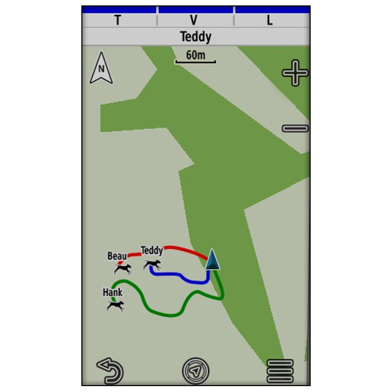 Télécommande GPS Alpha 200 Plus F Garmin