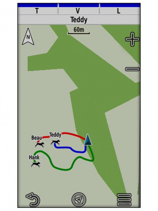 Télécommande GPS Alpha 200 Plus F Garmin