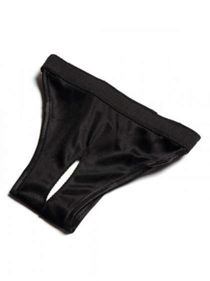 Culotte de protection chien...