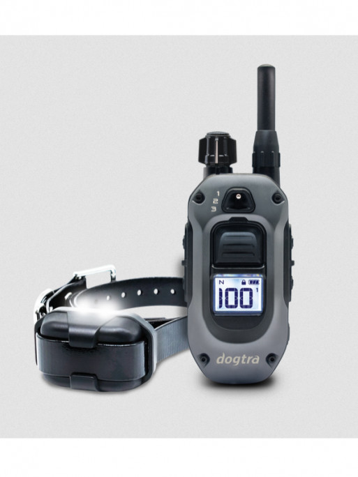 Pack de dressage 640X 1 chien Dogtra