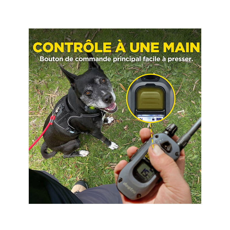 Pack de dressage 640X 1 chien Dogtra