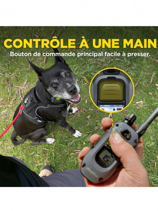 Pack de dressage 640X 1 chien Dogtra