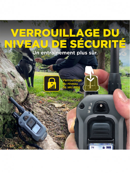 Pack de dressage 640X 1 chien Dogtra